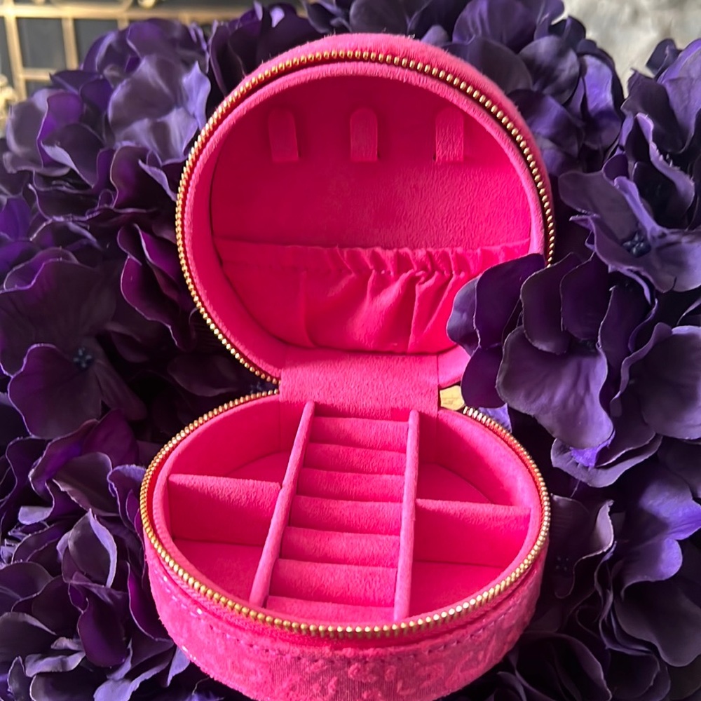 NWT Jewelry Case with Leopard Print (Hot Pink one is the only one left)